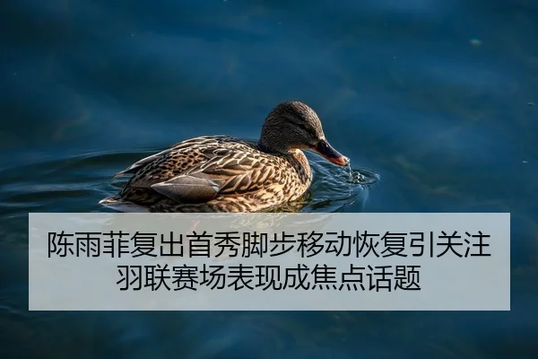 陈雨菲复出首秀脚步移动恢复引关注 羽联赛场表现成焦点话题